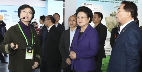 劉延東：認真學習貫徹黨的十九大精神  承擔好科技在中國特色社會主義新時代的歷史使命